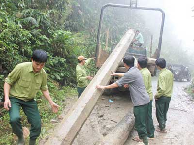 Lực lượng chức năng thu giữ gỗ khai thác trái phép tại rừng xã Sơn Hồng, huyện Hương Sơn (Hà Tĩnh)