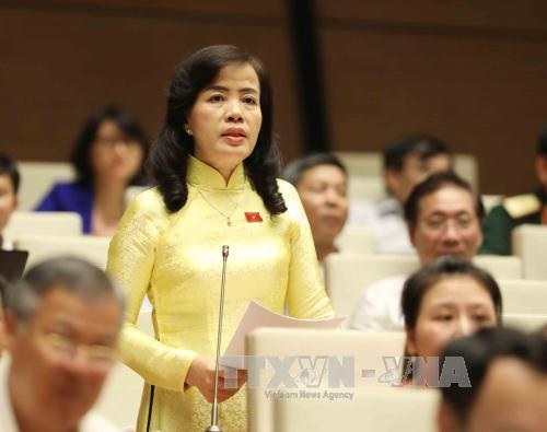 Đại biểu Quốc hội Thành phố Đà Nẵng Nguyễn Thị Kim Thúy phát biểu tại Kỳ họp. Ảnh TTXVN