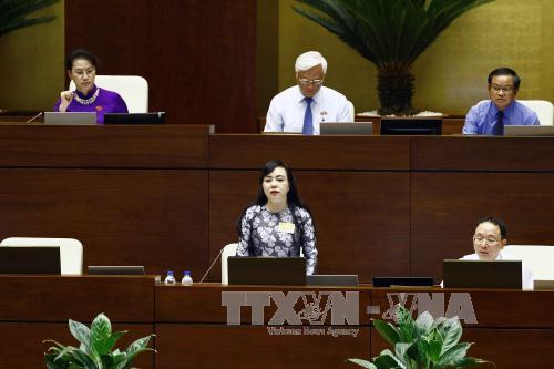 Bộ trưởng Bộ Y tế Nguyễn Thị Kim Tiến trả lời chất vấn của các đại biểu Quốc hội sáng 14-6. Ảnh: TTXVN