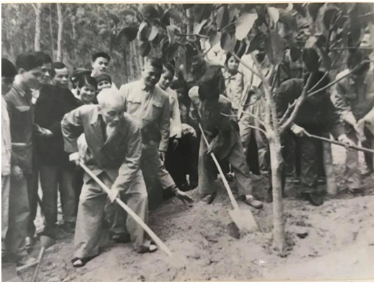 Chủ tịch Hồ Chí Minh trồng cây ở xã Vật Lại, Ba Vì, Hà Nội, mở đầu Tết trồng cây lần thứ 10, nhân dịp Tết Nguyên đán Kỷ Dậu, ngày 16-2-1969 (mồng 1 Tết). Ảnh: Bảo tàng Hồ Chí Minh
