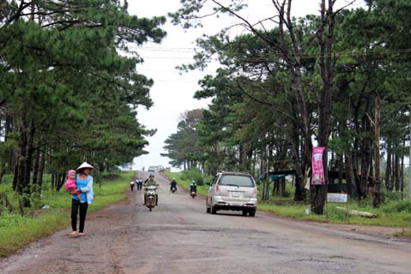 Dự án Đường Hồ Chí Minh (QL14) qua các tỉnh Tây Nguyên được khởi công vào ngày 15/9/2013