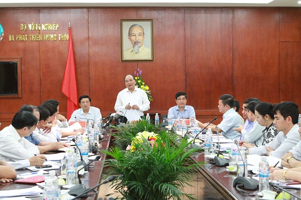 Đồng chí Nguyễn Xuân Phúc, Ủy viên Bộ Chính trị, Phó Thủ tướng, Phó trưởng Ban Chỉ đạo phát biểu tại buổi làm việc