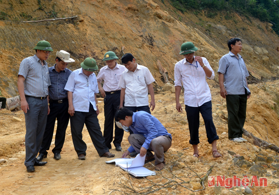 Ban Nội chính Tỉnh ủy Nghệ An kiểm tra dấu hiệu vi phạm trong khai thác gỗ tại vùng rừng đặc dụng Pù Hoạt, xã Hạnh Dịch, huyện Quế Phong (Ảnh: Báo Nghệ An)