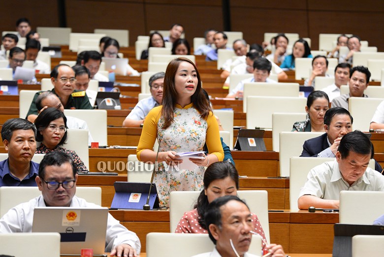 Đại biểu Quốc hội thảo luận góp ý về dự thảo Luật cán bộ, công chức (ảnh quochoi.vn)